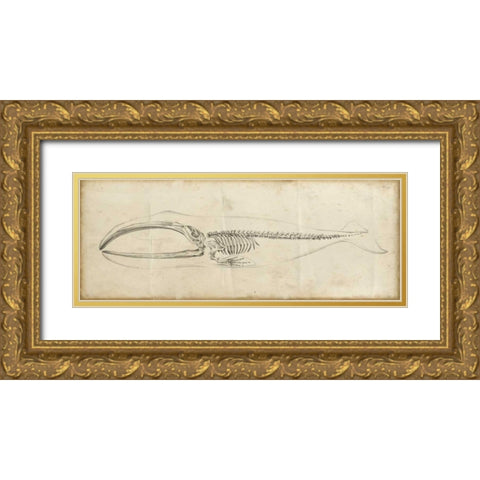 Whale Study I Gold Ornate Wood Framed Art Print with Double Matting by Harper, Ethan