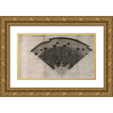 Tree Fan V Gold Ornate Wood Framed Art Print with Double Matting by Butler, John