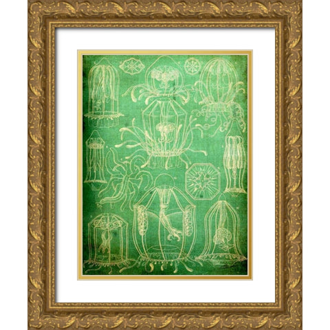 Sealife II Gold Ornate Wood Framed Art Print with Double Matting by Butler, John