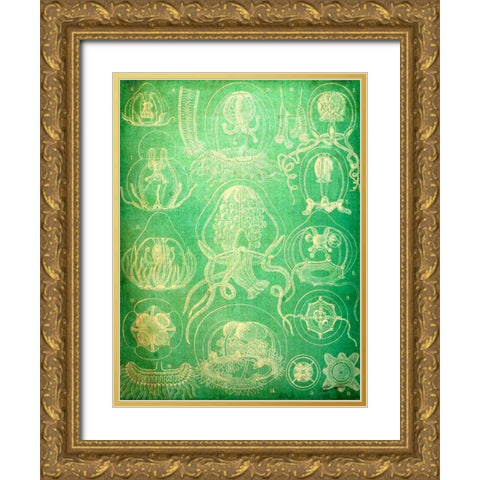 Sealife IV Gold Ornate Wood Framed Art Print with Double Matting by Butler, John