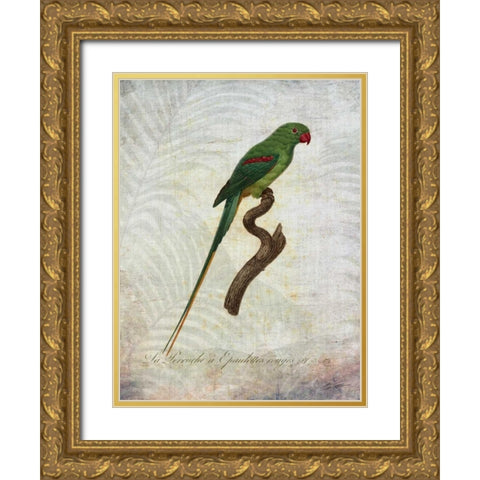 Parrot Jungle III Gold Ornate Wood Framed Art Print with Double Matting by Butler, John