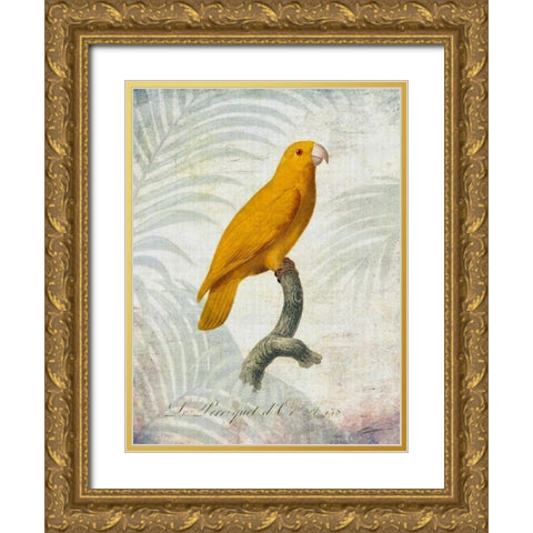 Parrot Jungle V Gold Ornate Wood Framed Art Print with Double Matting by Butler, John