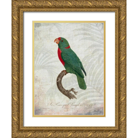 Parrot Jungle VI Gold Ornate Wood Framed Art Print with Double Matting by Butler, John