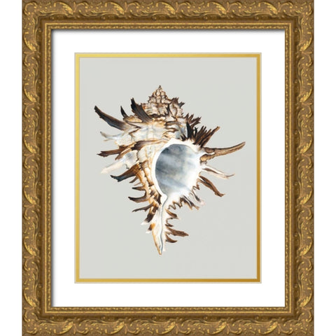 Black Murex Gold Ornate Wood Framed Art Print with Double Matting by Willett, Michael