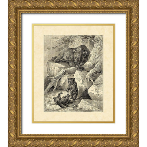 Vintage Common Brown Bear Gold Ornate Wood Framed Art Print with Double Matting by Specht, Friedrich