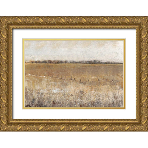 Fenced In I Gold Ornate Wood Framed Art Print with Double Matting by OToole, Tim