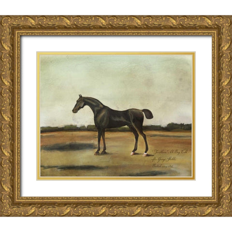 Trentham- A Bay Colt Gold Ornate Wood Framed Art Print with Double Matting by McCavitt, Naomi