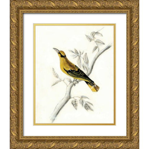 Rustic Aviary II Gold Ornate Wood Framed Art Print with Double Matting by McCavitt, Naomi