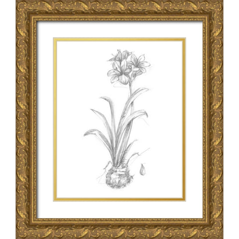 Botanical Sketch II Gold Ornate Wood Framed Art Print with Double Matting by Harper, Ethan