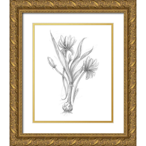 Botanical Sketch III Gold Ornate Wood Framed Art Print with Double Matting by Harper, Ethan