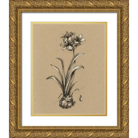 Botanical Sketch Black and White II Gold Ornate Wood Framed Art Print with Double Matting by Harper, Ethan