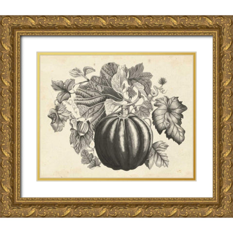 Sepia Squash I Gold Ornate Wood Framed Art Print with Double Matting by McCavitt, Naomi