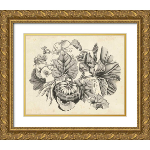 Sepia Squash II Gold Ornate Wood Framed Art Print with Double Matting by McCavitt, Naomi