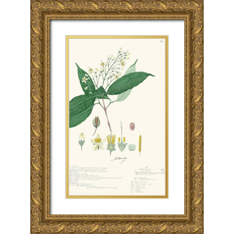 Delicate Descubes I Gold Ornate Wood Framed Art Print with Double Matting by A. Descubes