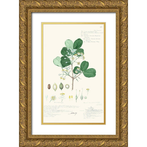 Delicate Descubes II Gold Ornate Wood Framed Art Print with Double Matting by A. Descubes