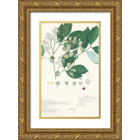 Delicate Descubes IV Gold Ornate Wood Framed Art Print with Double Matting by A. Descubes