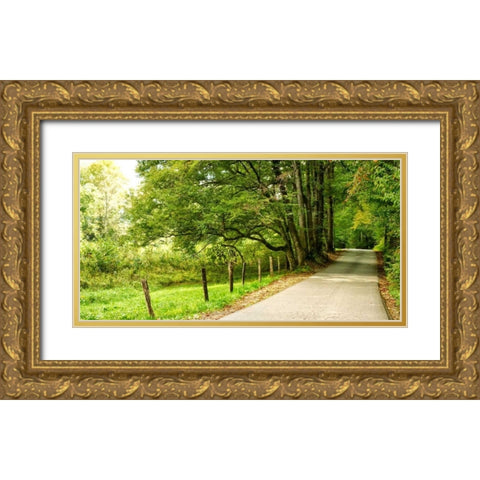 Over the Next Hill Gold Ornate Wood Framed Art Print with Double Matting by Head, Danny