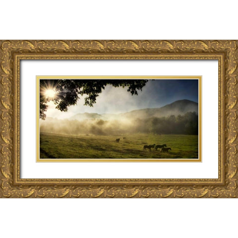 Running in the Mist Gold Ornate Wood Framed Art Print with Double Matting by Head, Danny