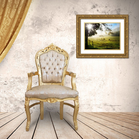 Morning Graze I Gold Ornate Wood Framed Art Print with Double Matting by Head, Danny