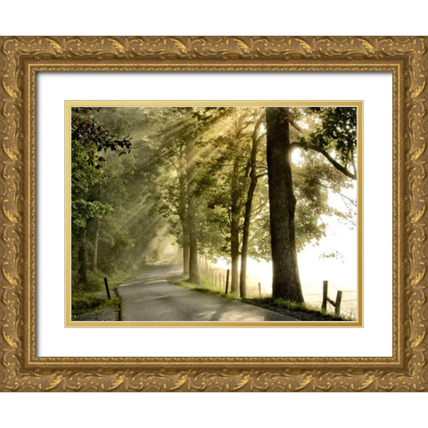 Fresh Morning II Gold Ornate Wood Framed Art Print with Double Matting by Head, Danny