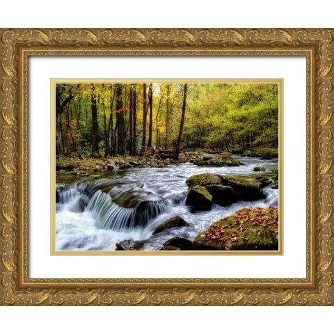 Over Flow I Gold Ornate Wood Framed Art Print with Double Matting by Head, Danny