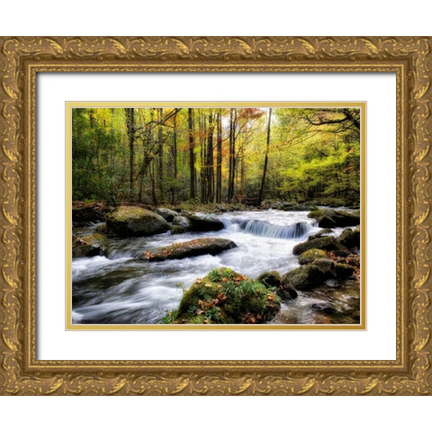 Over Flow II Gold Ornate Wood Framed Art Print with Double Matting by Head, Danny