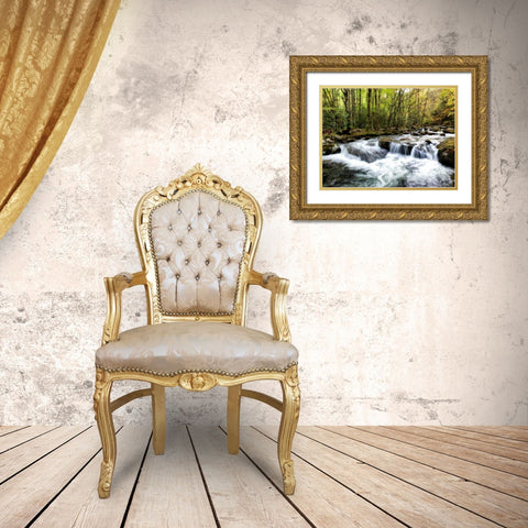Waterslide Gold Ornate Wood Framed Art Print with Double Matting by Head, Danny