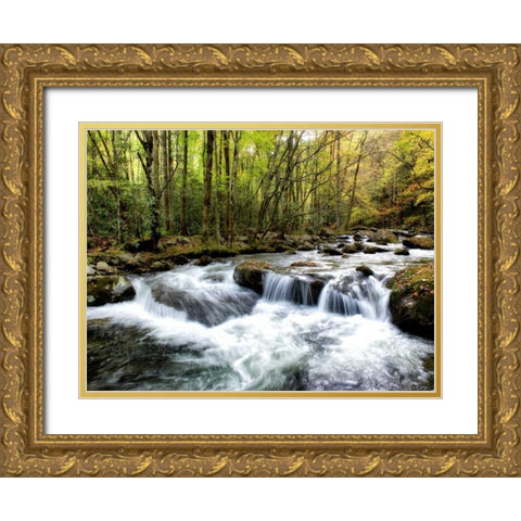 Waterslide Gold Ornate Wood Framed Art Print with Double Matting by Head, Danny
