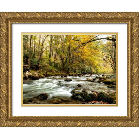 Creekside Gold Ornate Wood Framed Art Print with Double Matting by Head, Danny