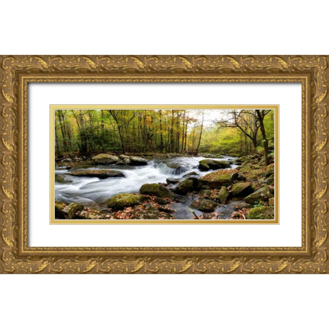 Over Flow Panorama Gold Ornate Wood Framed Art Print with Double Matting by Head, Danny