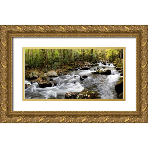 Up the Creek Panorama Gold Ornate Wood Framed Art Print with Double Matting by Head, Danny
