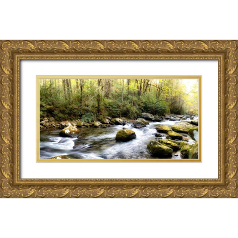 Riverside Panorama Gold Ornate Wood Framed Art Print with Double Matting by Head, Danny