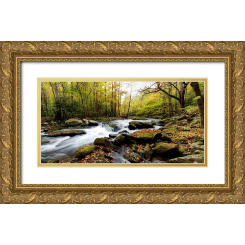 Tremont Panorama II Gold Ornate Wood Framed Art Print with Double Matting by Head, Danny