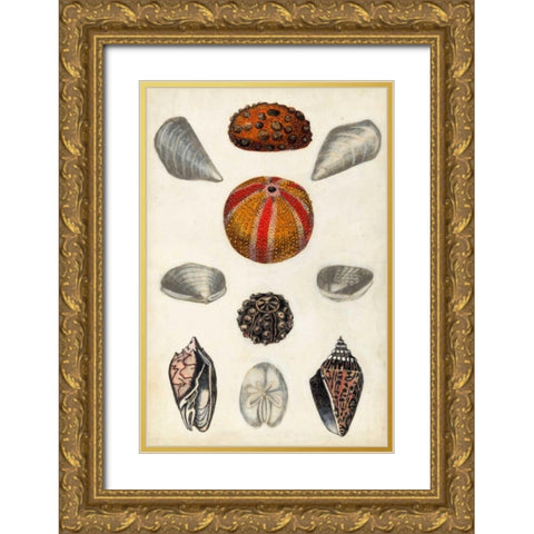Seashore Field Notes II Gold Ornate Wood Framed Art Print with Double Matting by McCavitt, Naomi