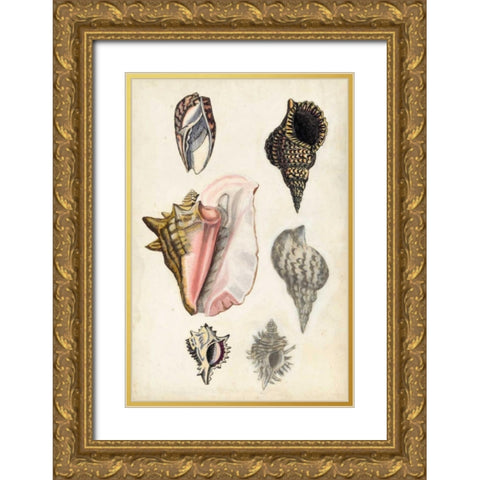 Seashore Field Notes III Gold Ornate Wood Framed Art Print with Double Matting by McCavitt, Naomi