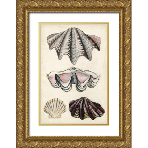 Seashore Field Notes IV Gold Ornate Wood Framed Art Print with Double Matting by McCavitt, Naomi
