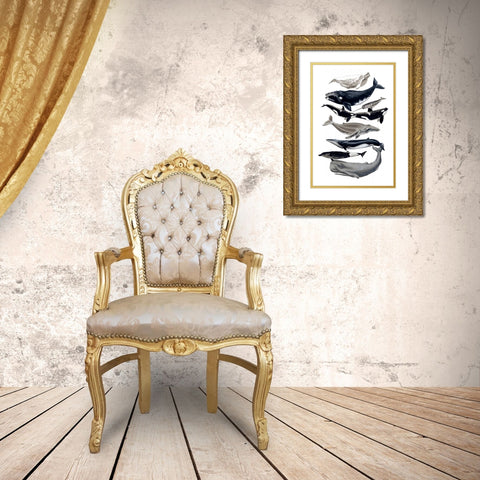 Whale Display I Gold Ornate Wood Framed Art Print with Double Matting by McCavitt, Naomi