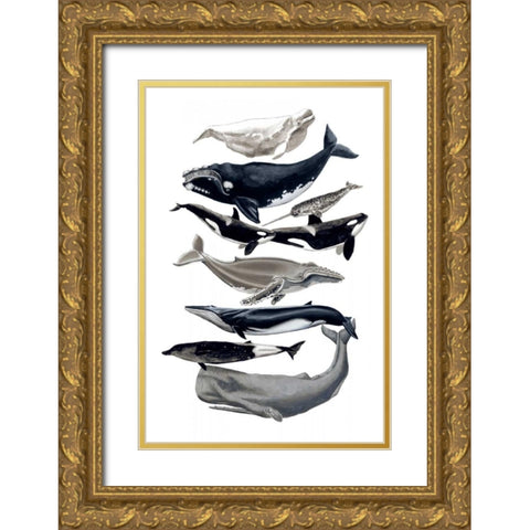Whale Display I Gold Ornate Wood Framed Art Print with Double Matting by McCavitt, Naomi