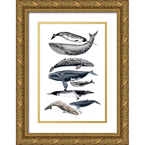 Whale Display II Gold Ornate Wood Framed Art Print with Double Matting by McCavitt, Naomi