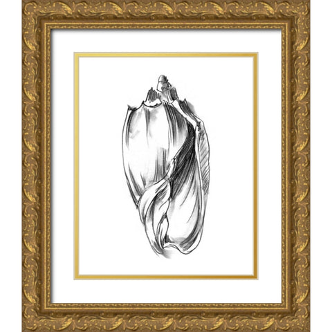 UA CH Shell Sketch II Gold Ornate Wood Framed Art Print with Double Matting by Harper, Ethan