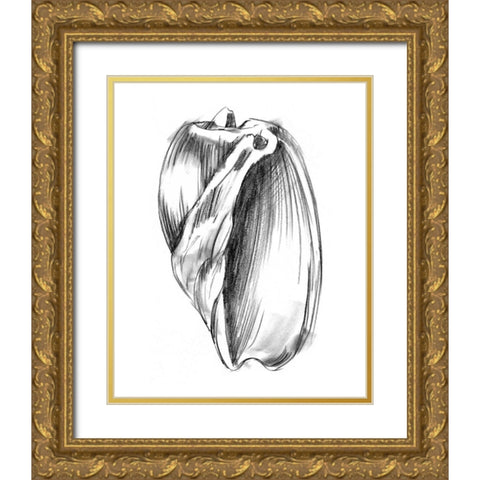 UA CH Shell Sketch III Gold Ornate Wood Framed Art Print with Double Matting by Harper, Ethan