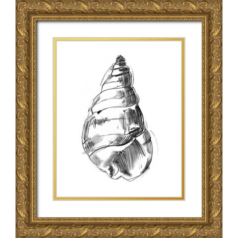 UA CH Shell Sketch V Gold Ornate Wood Framed Art Print with Double Matting by Harper, Ethan