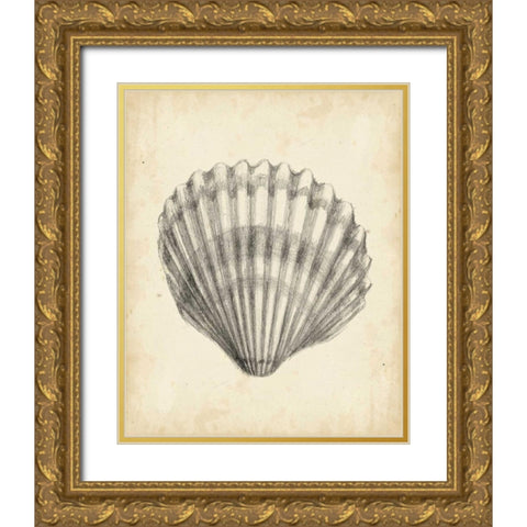 Antique Shell Study III Gold Ornate Wood Framed Art Print with Double Matting by Harper, Ethan