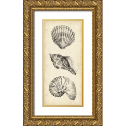 Antique Shell Study Panel I Gold Ornate Wood Framed Art Print with Double Matting by Harper, Ethan