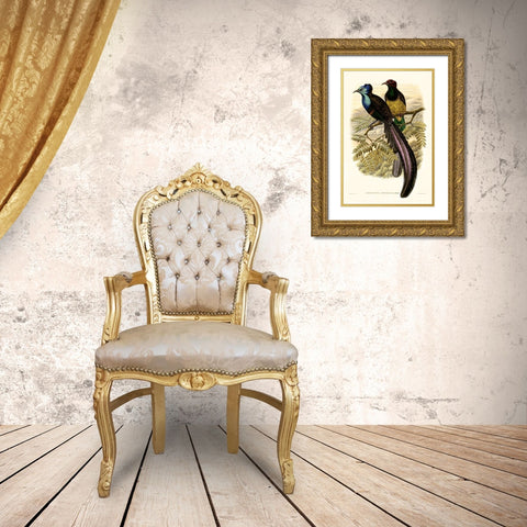 Gould Bird of Paradise I Gold Ornate Wood Framed Art Print with Double Matting by Gould