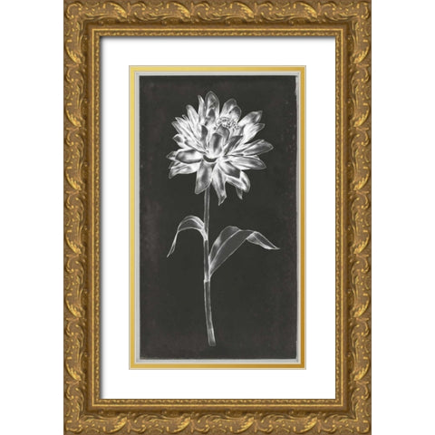 Single Stem III Gold Ornate Wood Framed Art Print with Double Matting by Goldberger, Jennifer