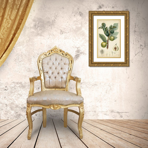 Exotic Fruits I Gold Ornate Wood Framed Art Print with Double Matting by Turpin