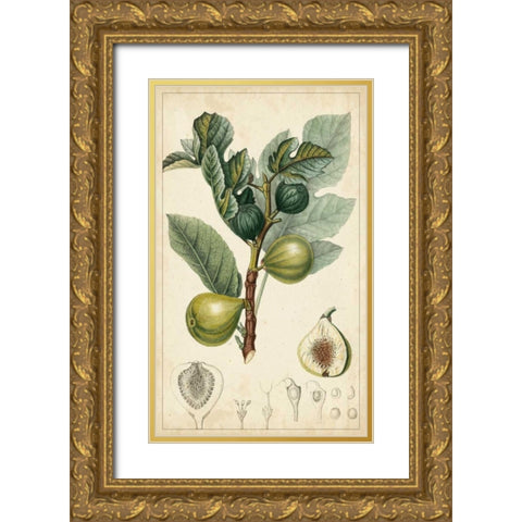 Exotic Fruits I Gold Ornate Wood Framed Art Print with Double Matting by Turpin