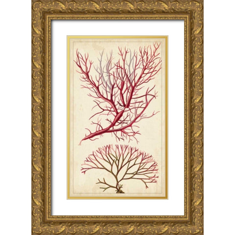 Turpin Seaweed V Gold Ornate Wood Framed Art Print with Double Matting by Turpin