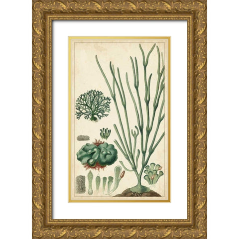 Turpin Seaweed VI Gold Ornate Wood Framed Art Print with Double Matting by Turpin